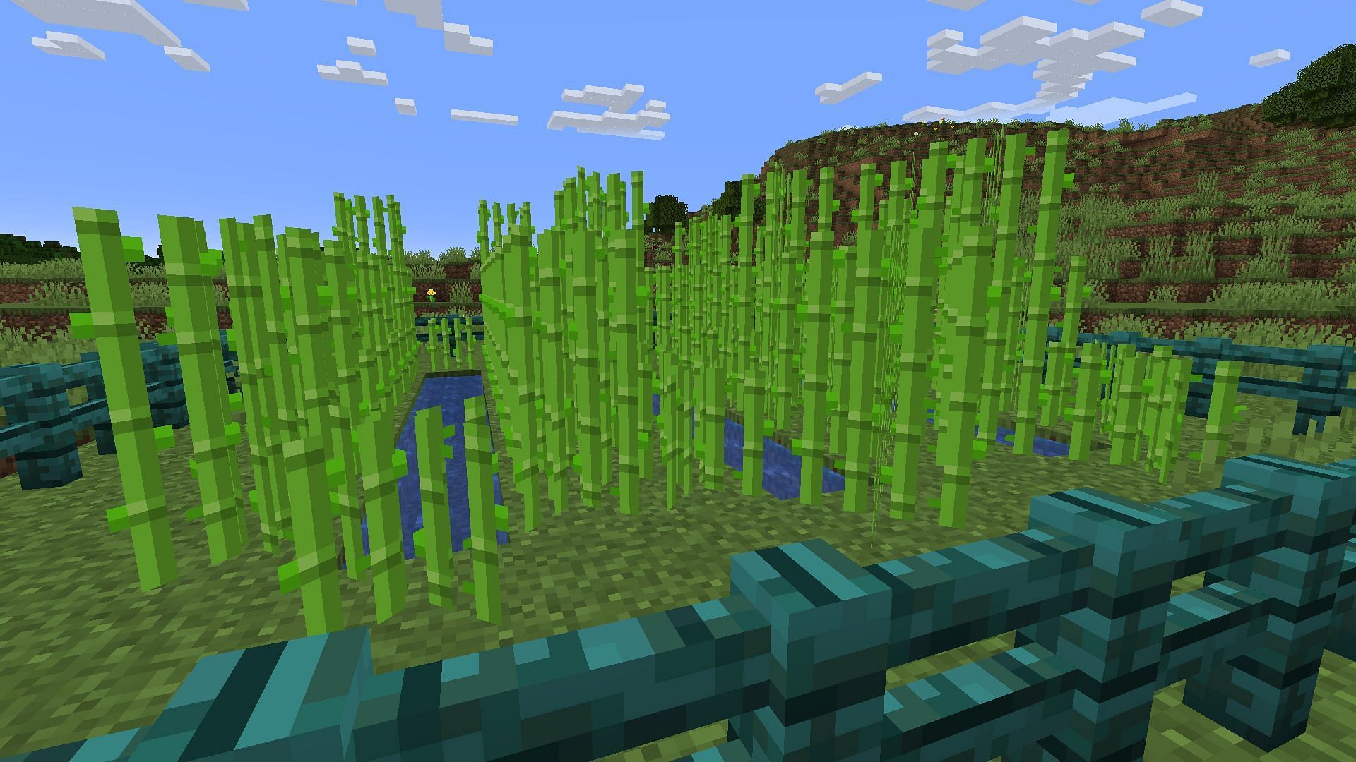 A basic sugar cane farm. (Image via Minecraft)