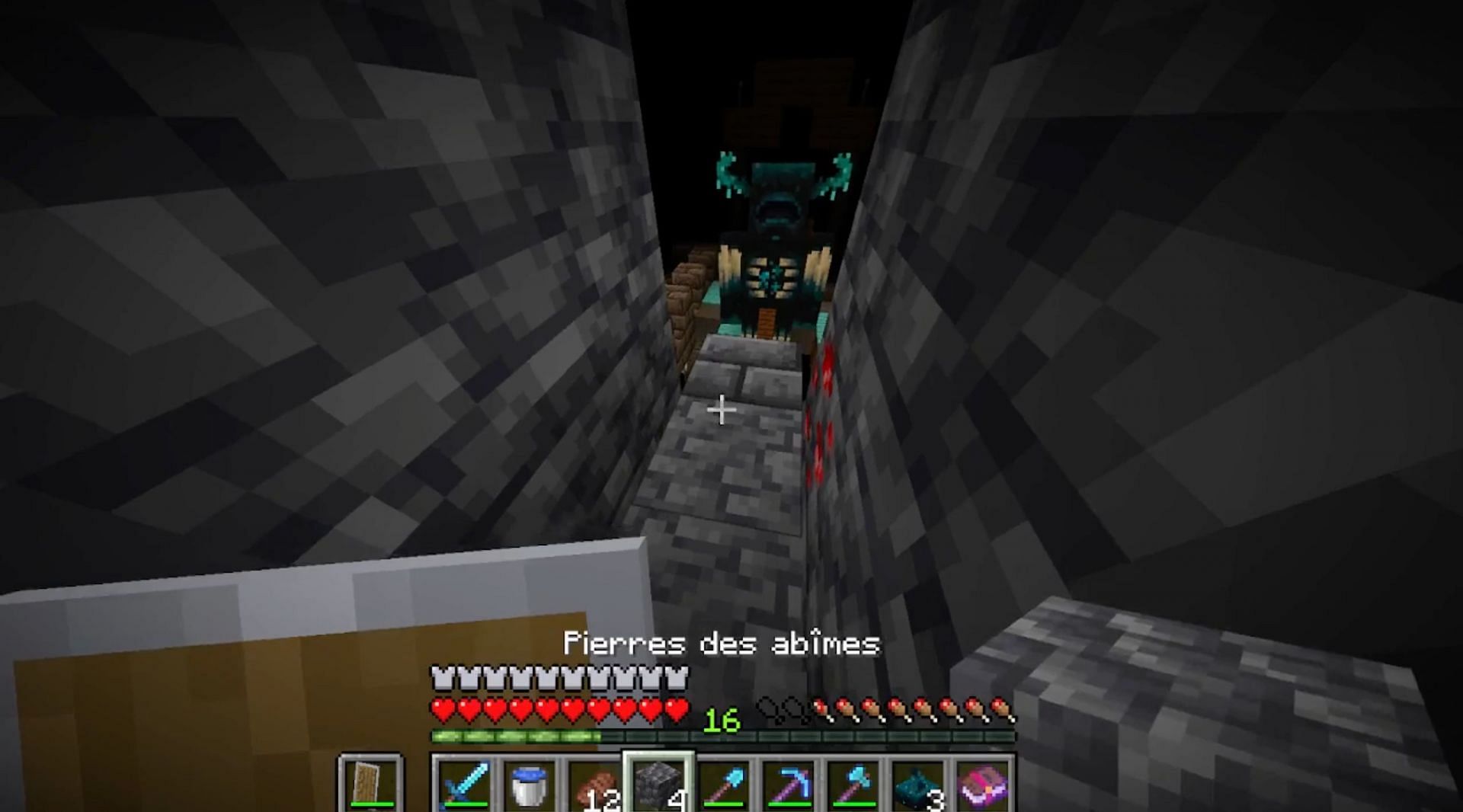 A Redditor on Reddit&#039;s r/Minecraft subreddit named u/FeeAcrobatic5214 posted a video of a horrifying encounter with the Warden that was something straight out of a horror movie (Image via u/FeeAcrobatic5214/Reddit)