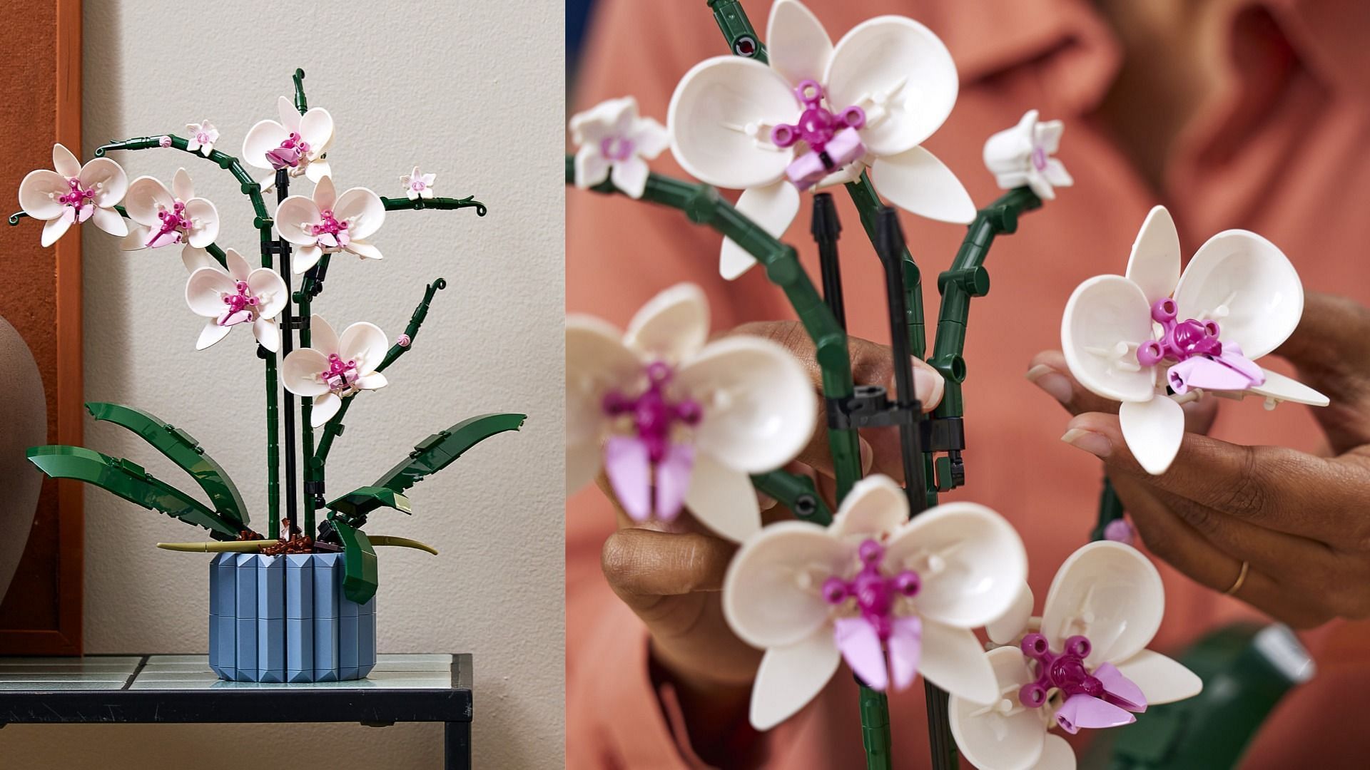 The Orchid Set recreates a realistic blooming orchid (Image via brand)