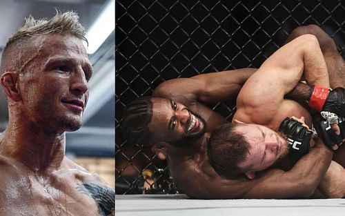 T.J. Dillashaw (left); Petr Yan vs. Aljamain Sterling (right).