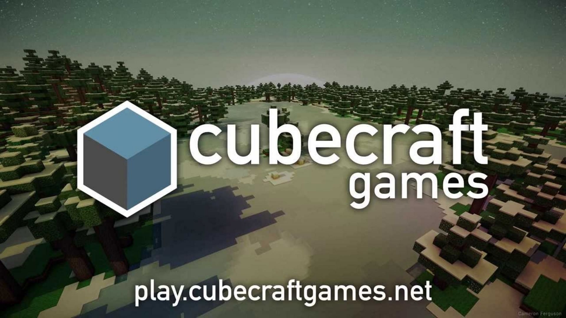 Cubecraft&#039;s reputation speaks for itself (Image via Cubecraft)