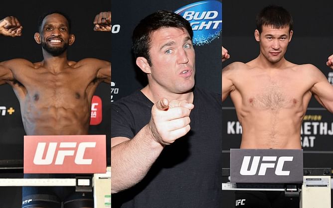 "Neil Magny will not turn down a fight" - Chael Sonnen all but confirms Shavkat Rakhmonov's next fight