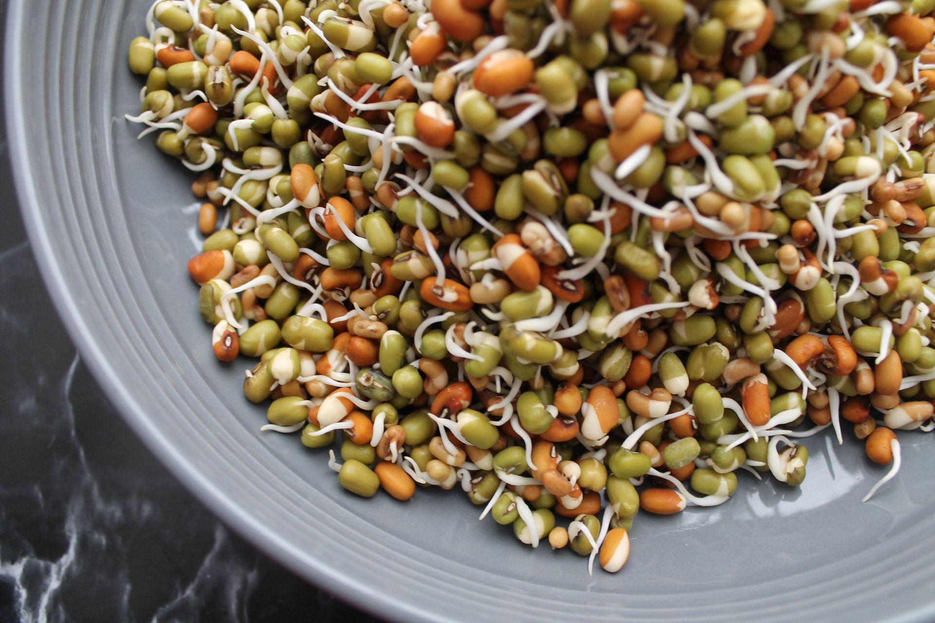 Bean sprouts have a high protein content (Image via Pexels/Nourishment decoded)