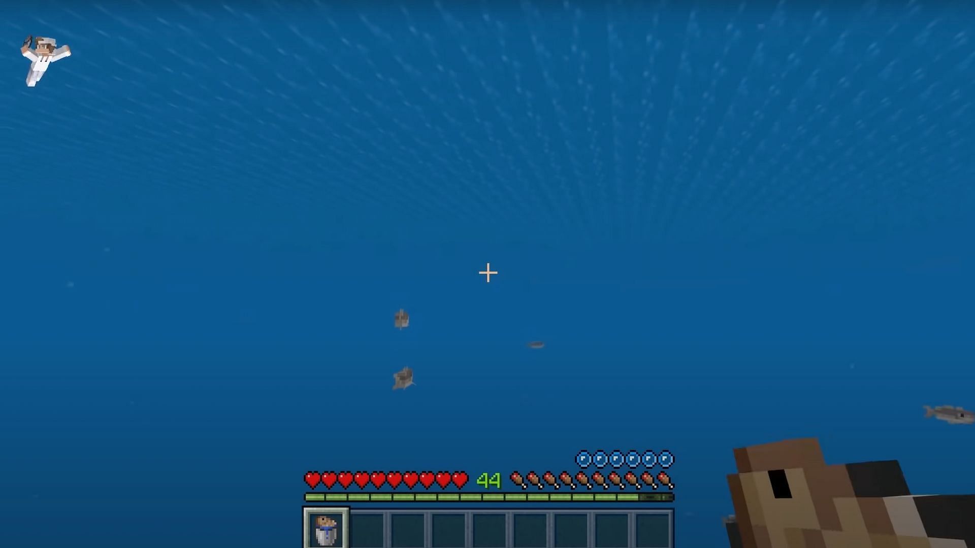 Players can catch a cod or salmon using a water bucket (Image via JC Playz/YouTube)