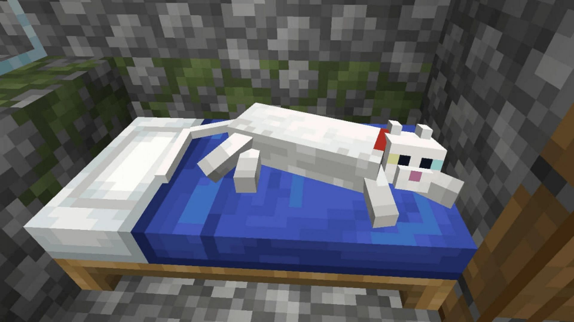 If players tame a cat, don&#039;t be surprised if it spends some time on their beds (Image via Mojang)