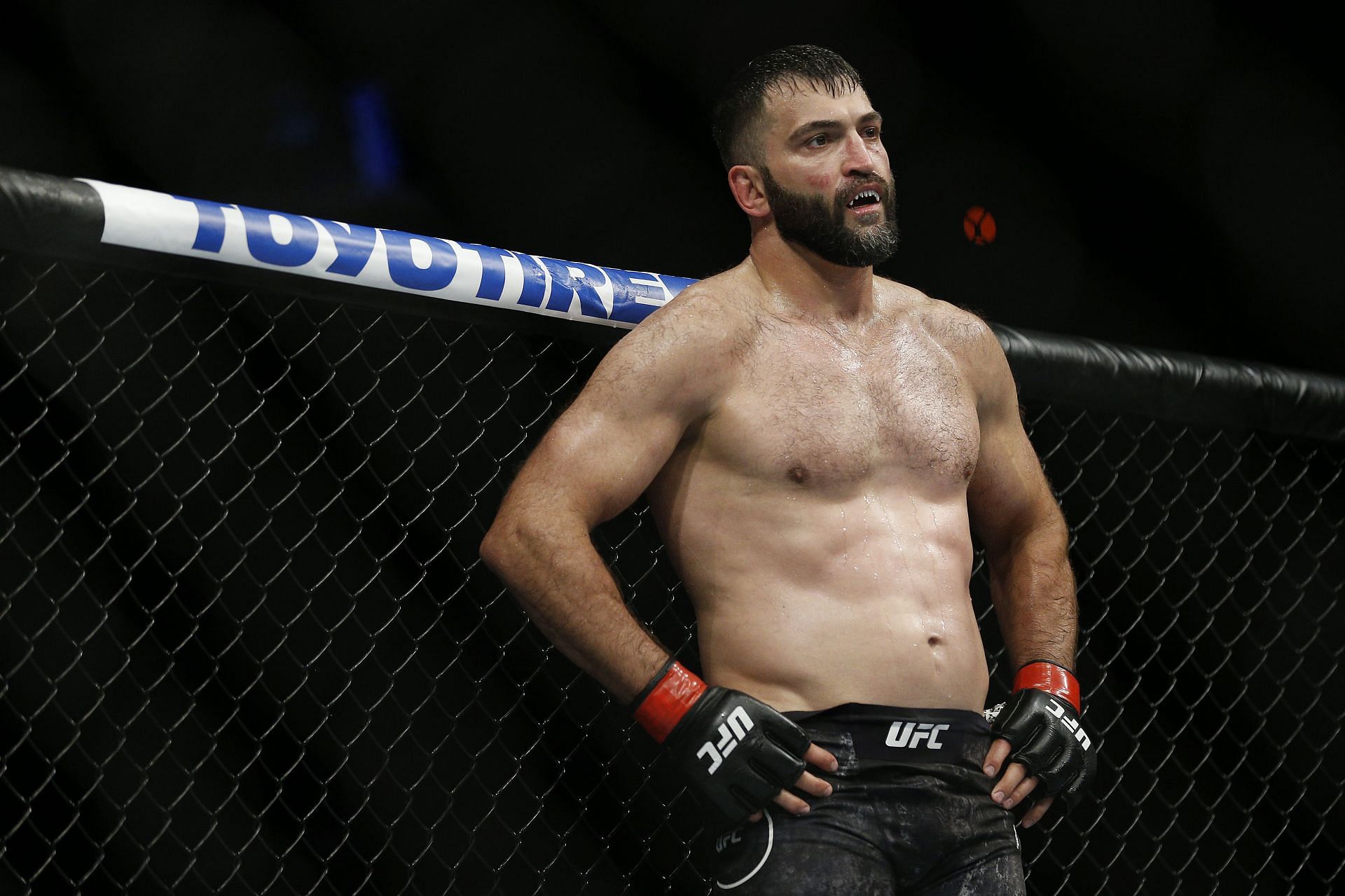 Andrei Arlovski holds a record of 33-20 (2 NC).