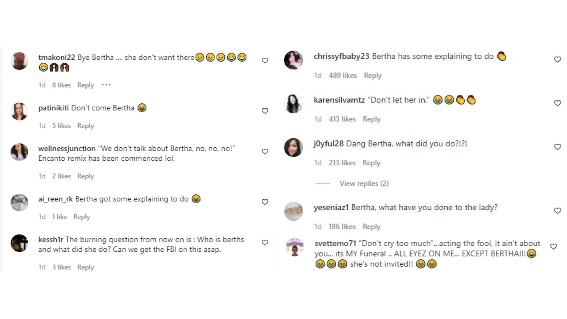 Viewers asking about Bertha in the comments section on Grandma Droniak&#039;s video (Image via @flighthouse/Instagram)