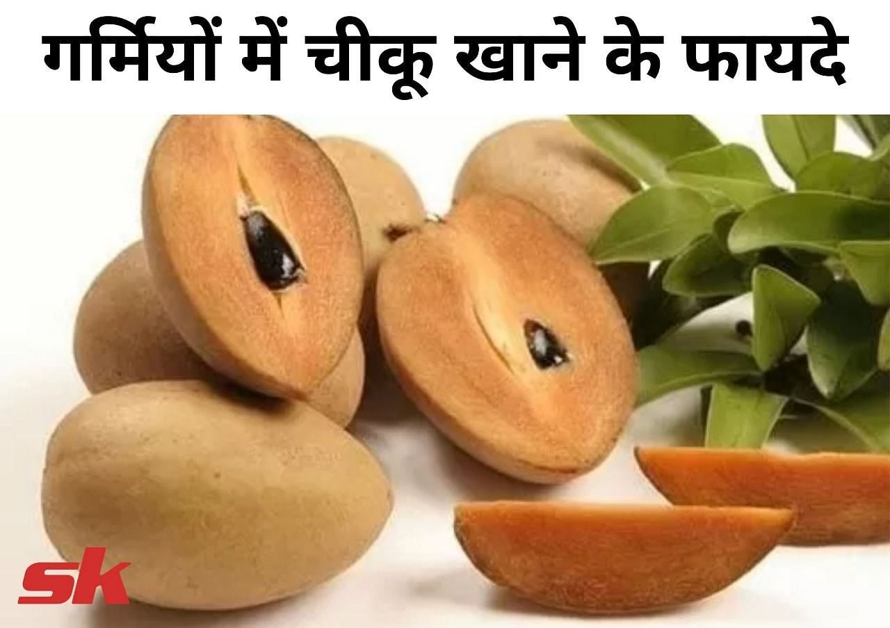 गर्मियों में चीकू खाने के फायदे (फोटो - sportskeeda hindi)
