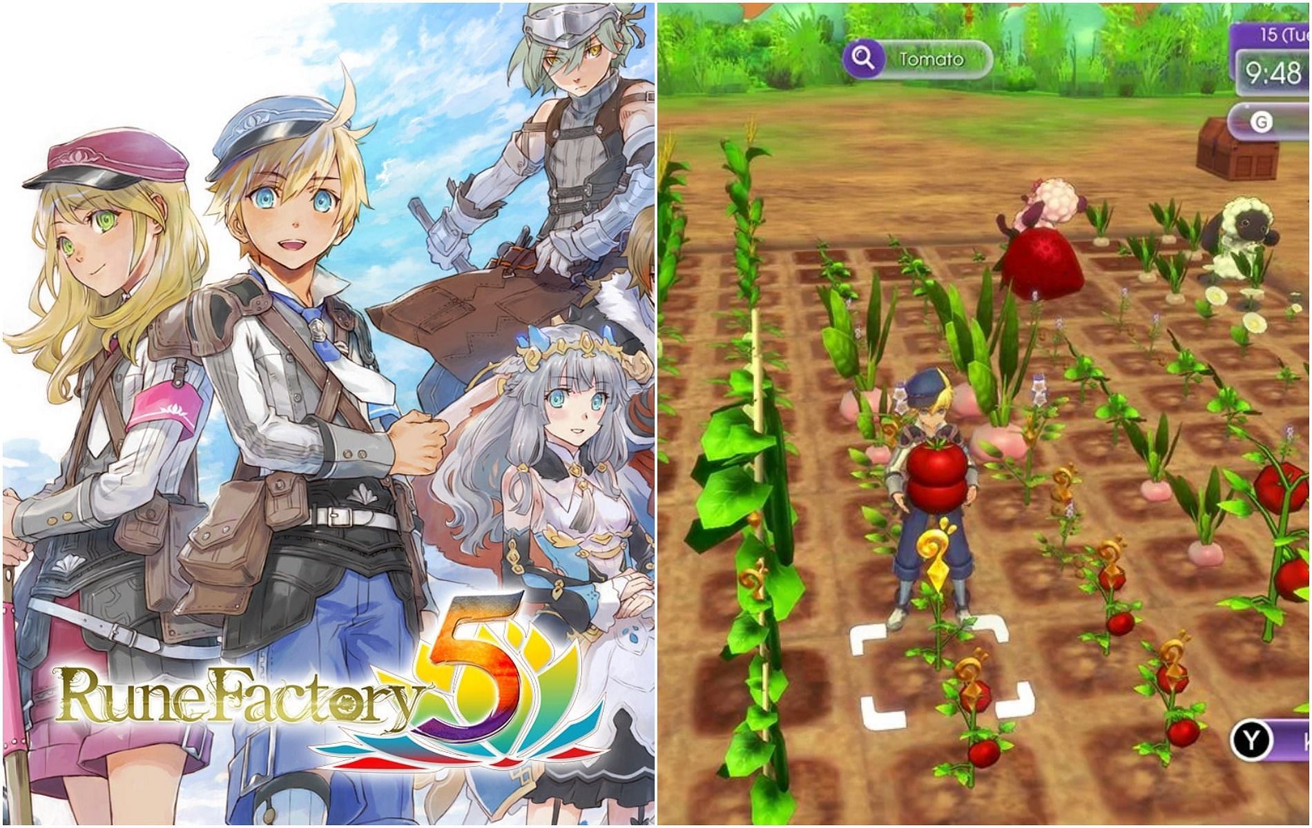 Farming Tools in Rune Factory 5 (Images by Xseed Games)