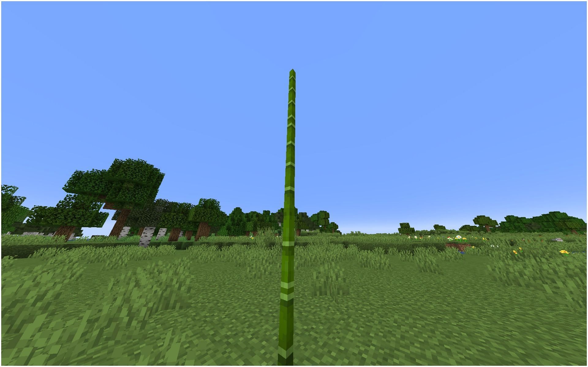 Bamboo in Minecraft (Image via Minecraft)