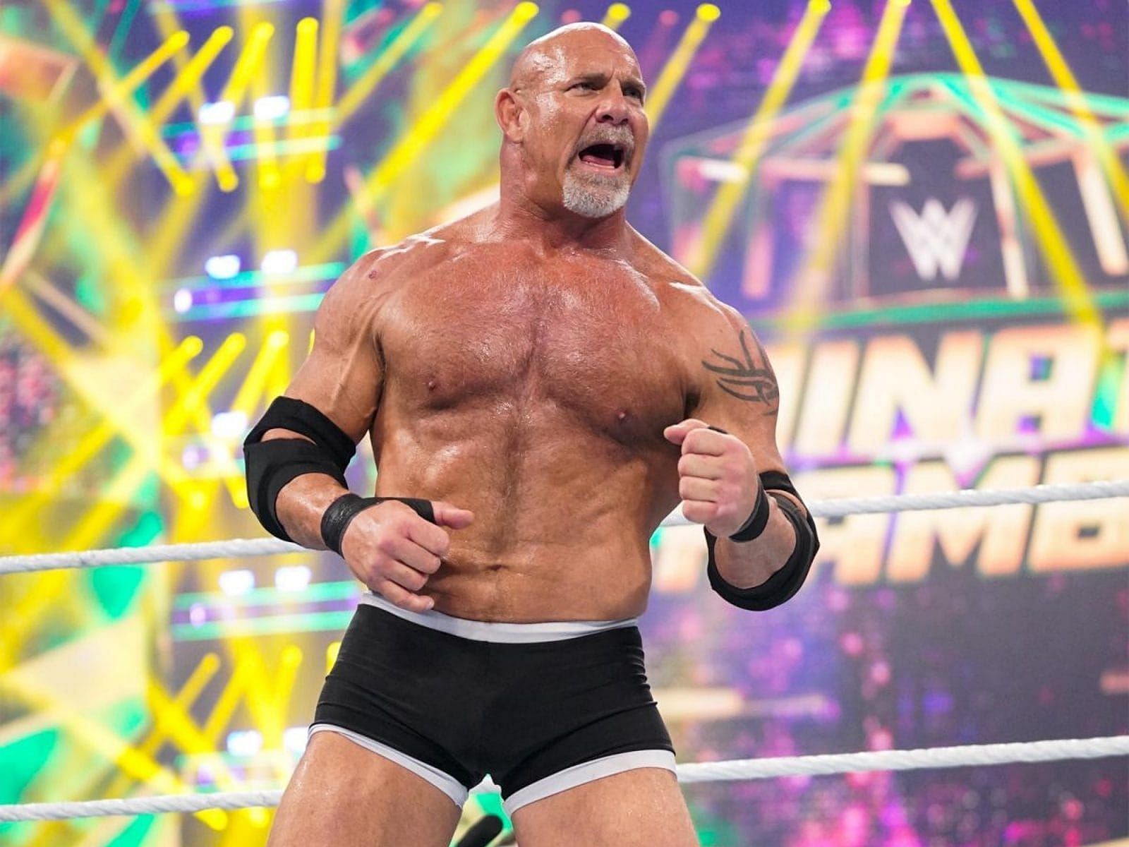 Goldberg during his last match at Elimination Chamber