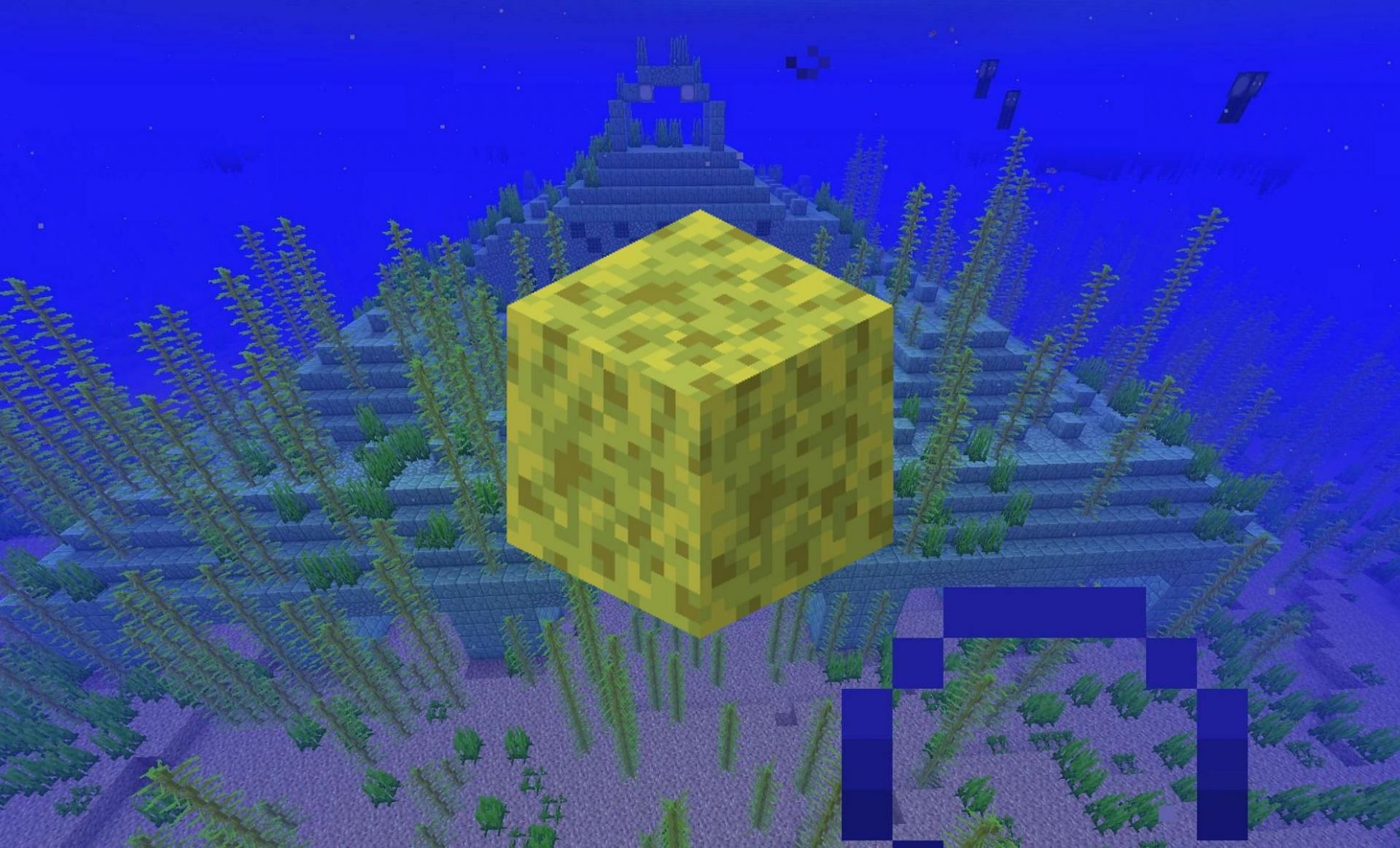 Sponges (Image via Minecraft Wiki)