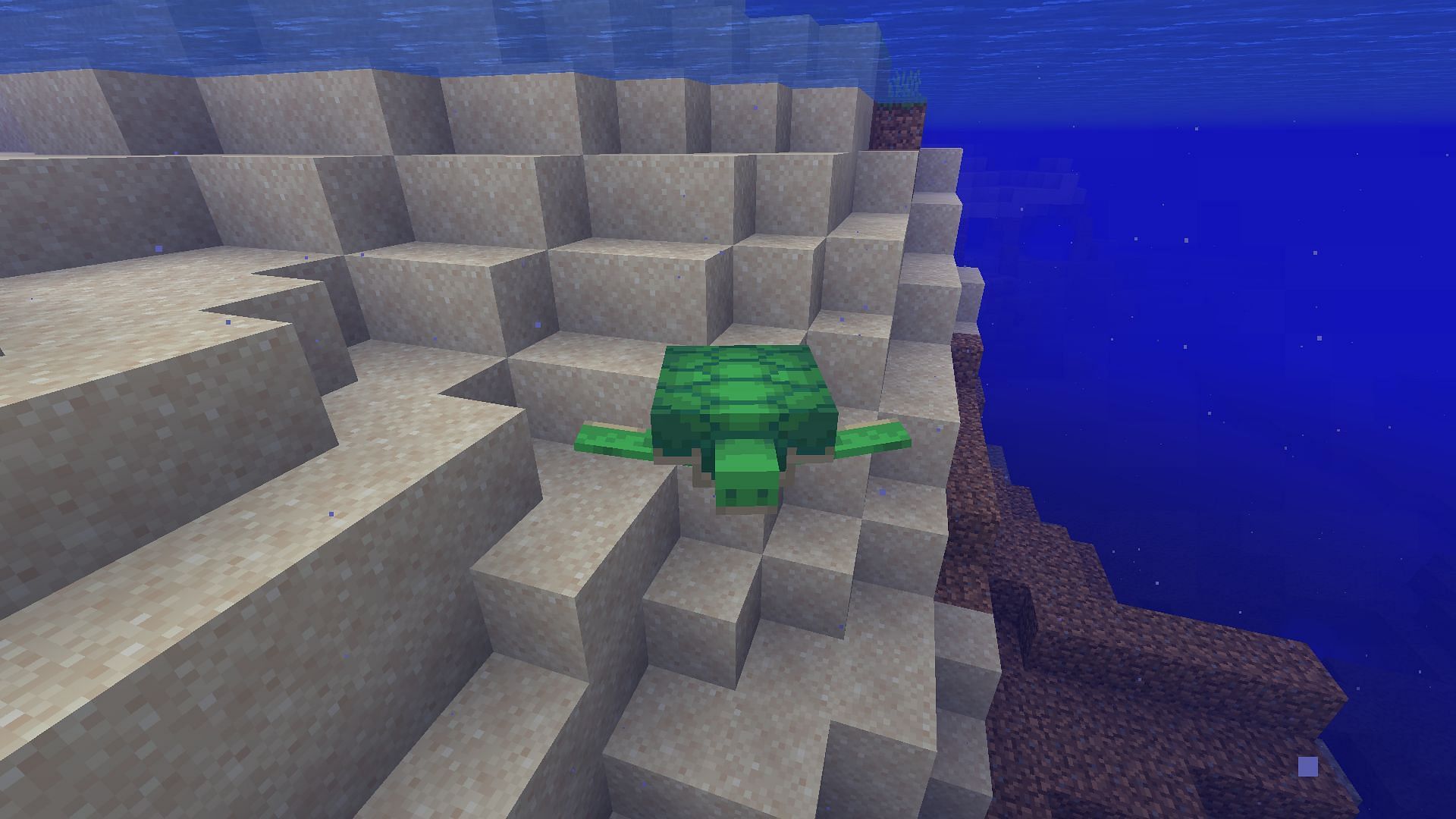 Turtle (Image via Minecraft)