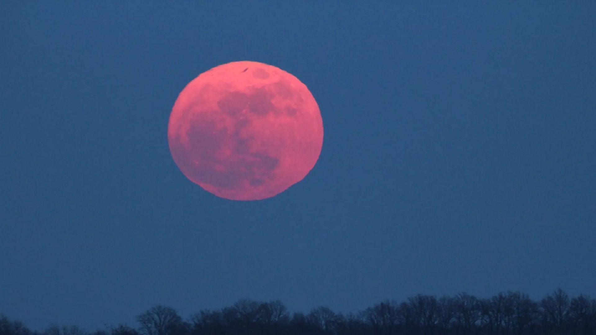 Pink Moon April 2024 Meaning Gizela Britteny