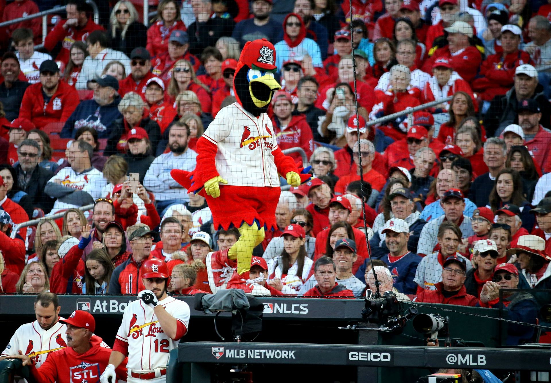 The St. Louis Cardinals have a loyal fanbase covering a large portion of the American Midwest