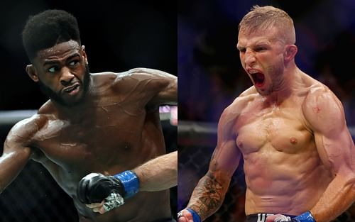 Aljamain Sterling and T.J. Dillashaw (Images via Getty)