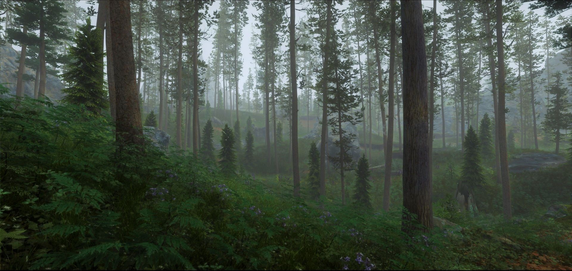 The wilds of Skyrim are a treat to explore with the VR version of the game (Image via Nexusmods/firemanaf)