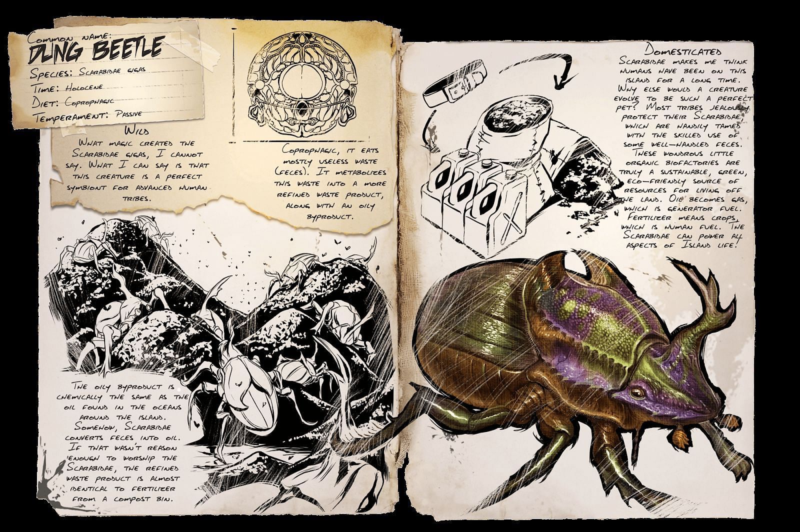 Dung beetle (Image via ARK Fandom)