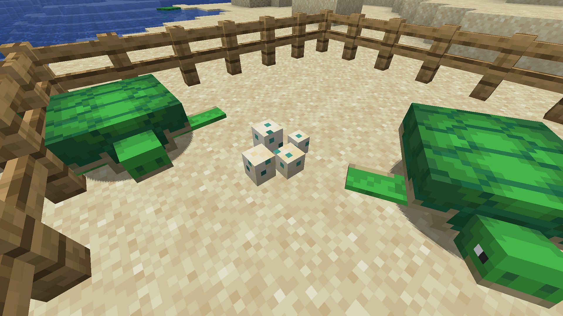 Turtle eggs (Image via Minecraft 1.18)