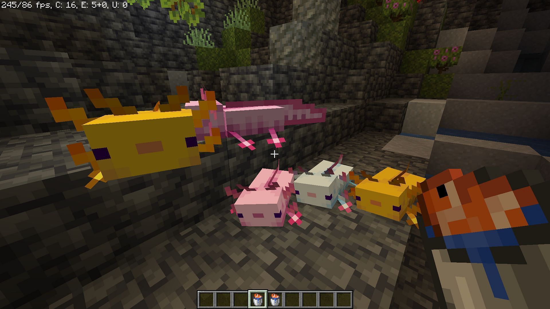 Axolotls breed with these mobs (Image via Minecraft)