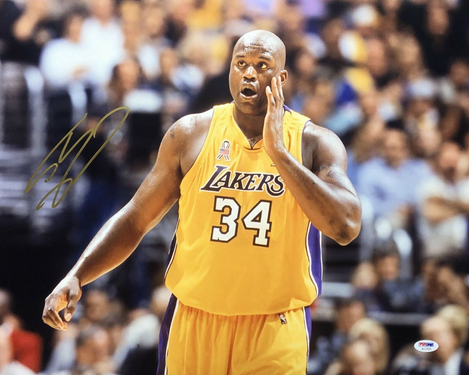 The LA Lakers version of Shaquille O&#039;Neal was likely the most dominant in NBA history. [Photo: Steiner Sports]