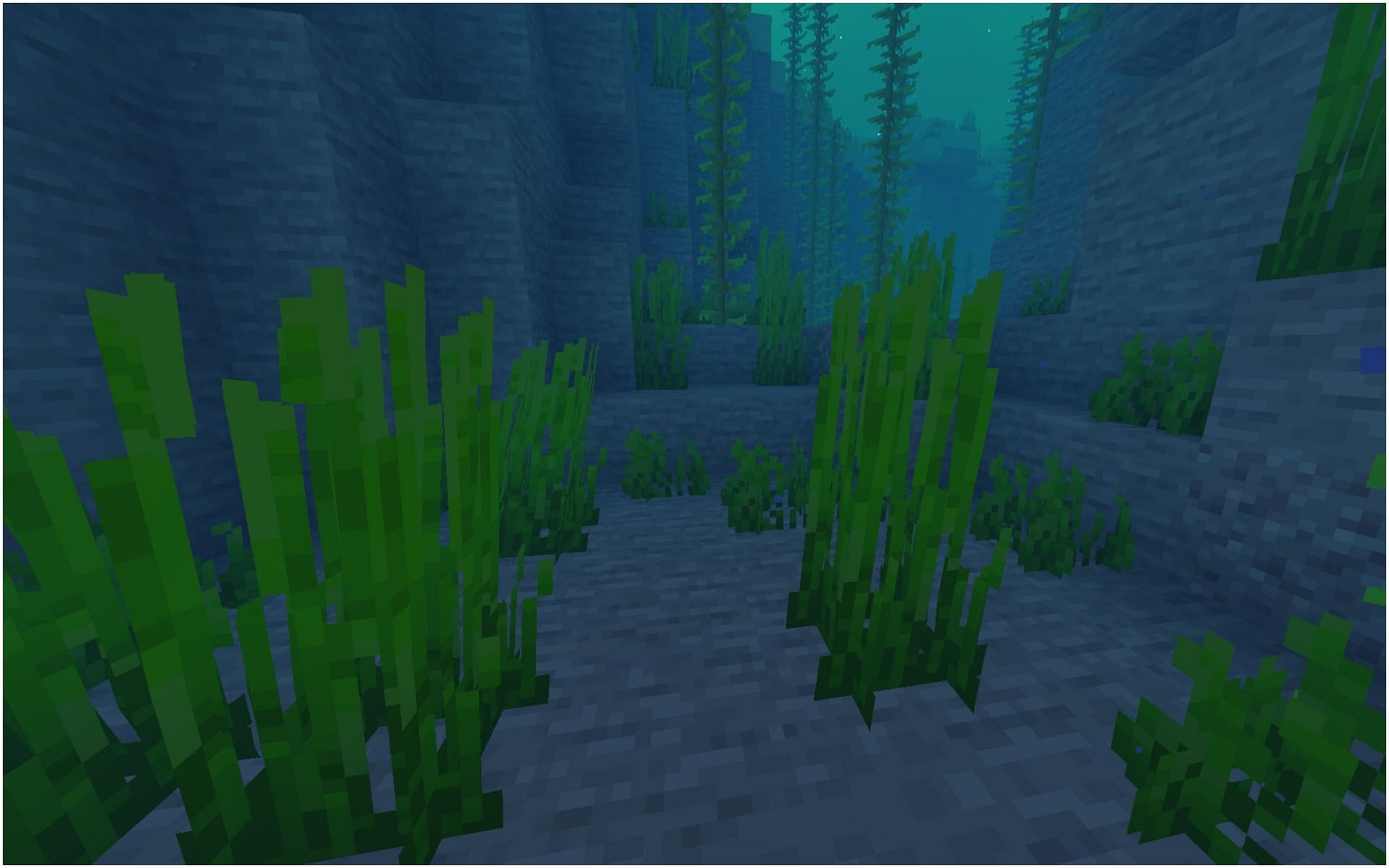 Seagrass in Minecraft (Image via Minecraft)