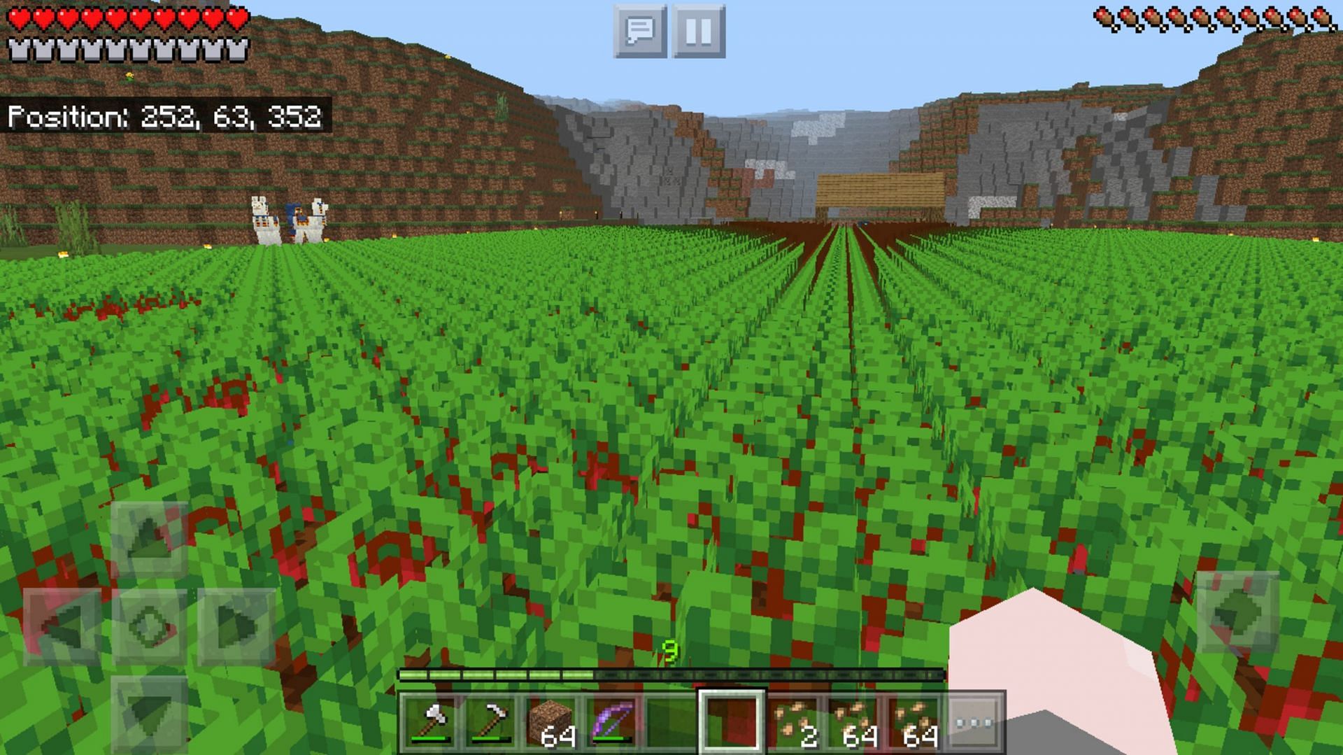 Beetroot farming in Minecraft can be made easier with automation (Image via u/Mcnkyrose/Reddit)