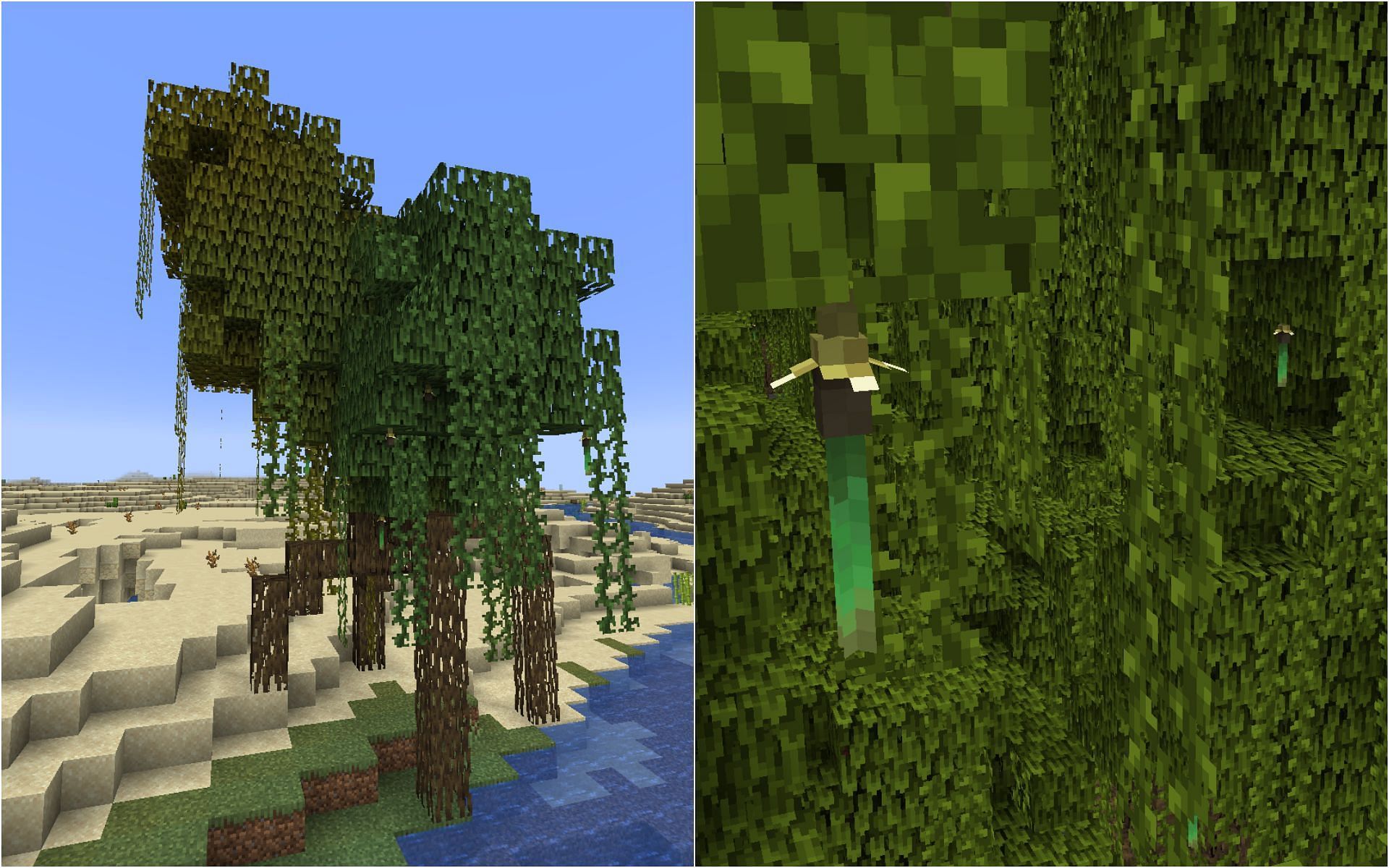Propagules hanging from a tree, and grown tree from a propagule (Image via Mojang)