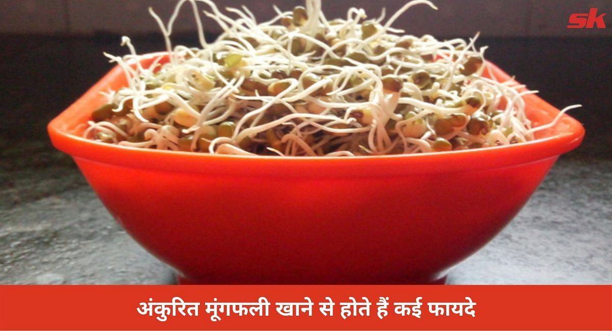 अंकुरित मूंगफली खाने से होते हैं कई फायदे(फोटो-Sportskeeda hindi)