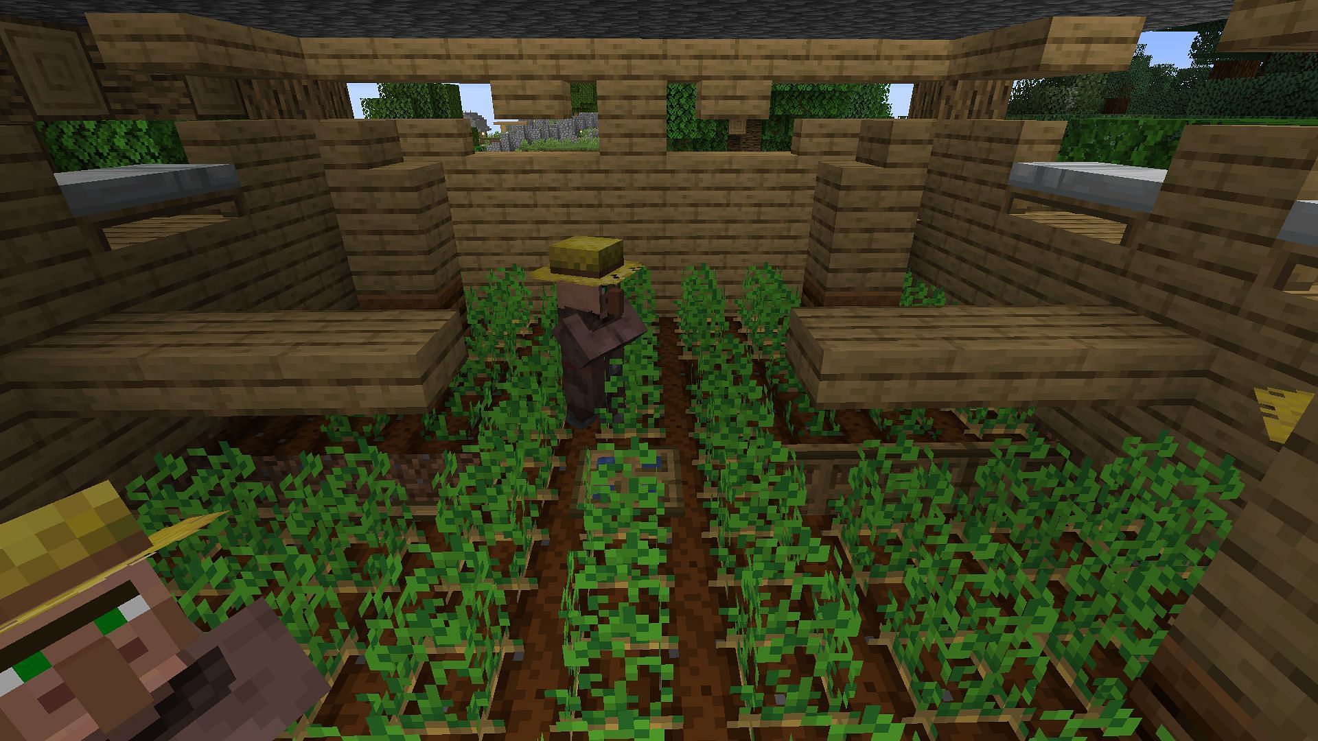 An automated potato farm using villagers (Image via Minecraft)