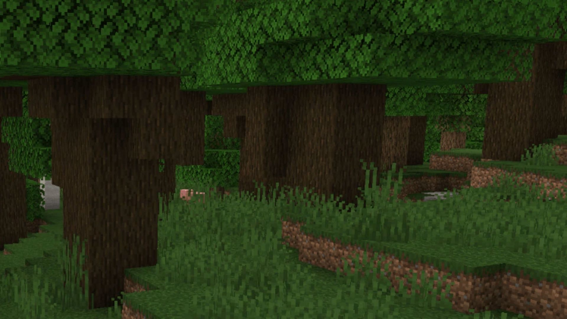 Dark forests are dangerous, and this seed has plenty of them (Image via Mojang)