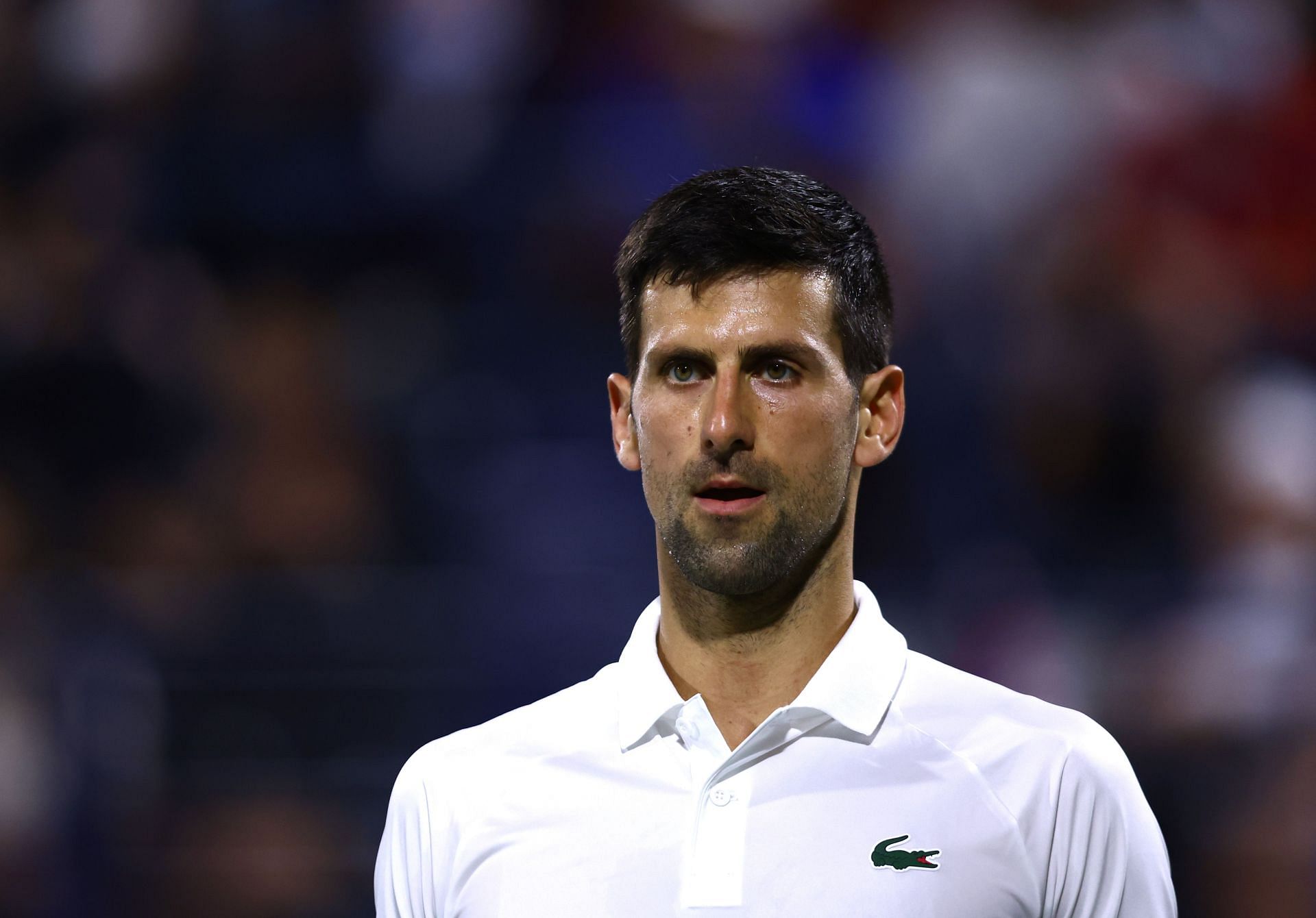 Novak Djokovic in action at Dubai Duty Free Tennis Championships