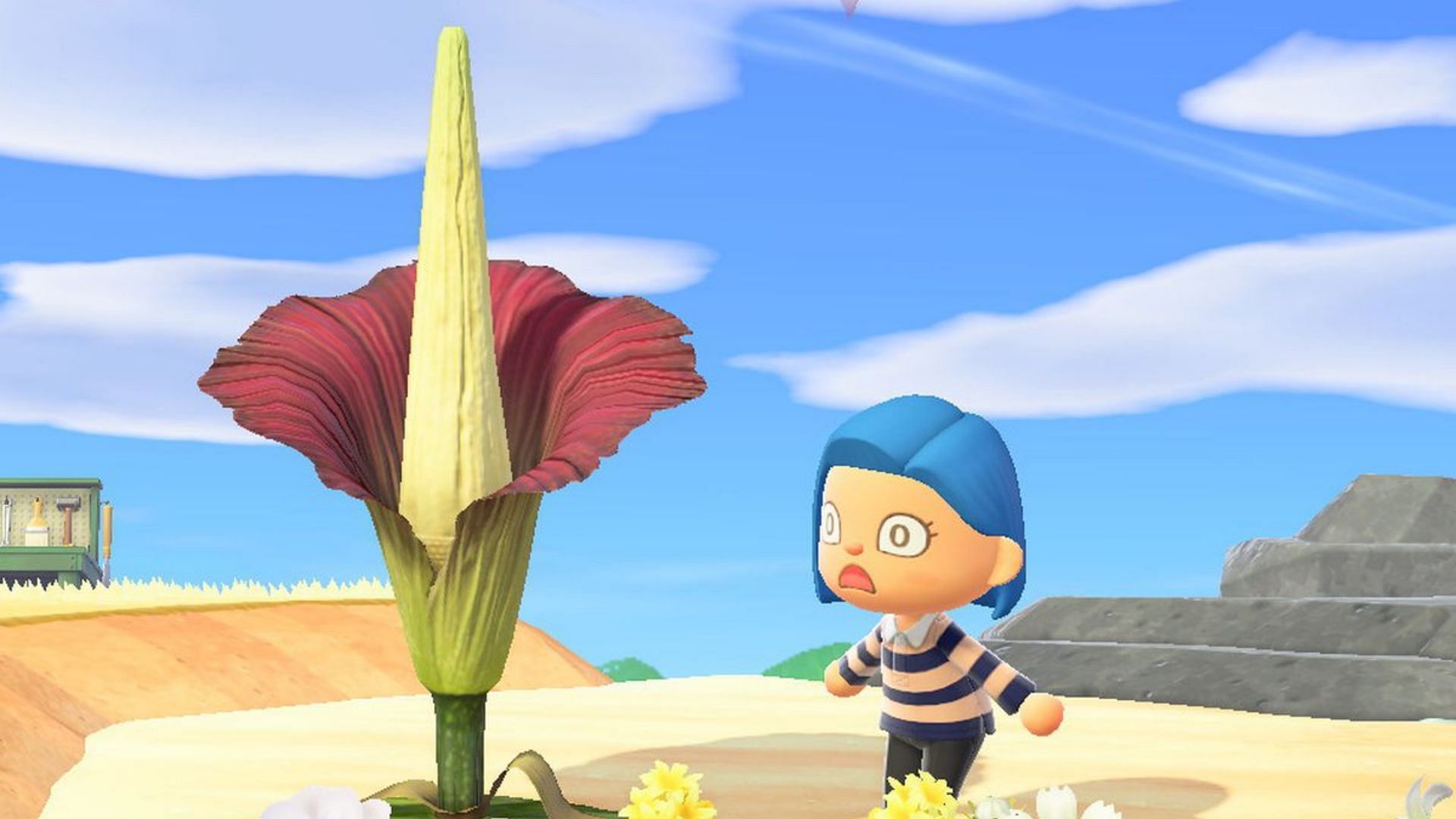Animal Crossing: New Horizons has some weird things that players cannot explain (Image via Nintendo)