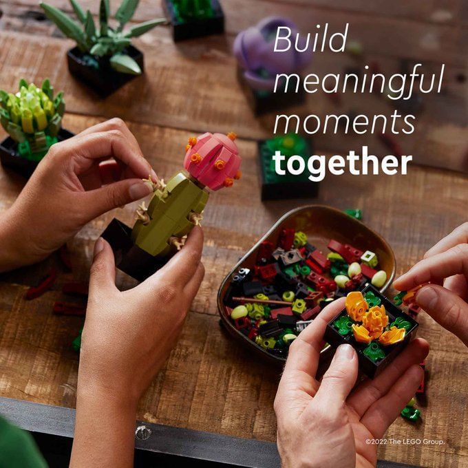 LEGO Orchid Set Where to buy, launch date, price, and everything to