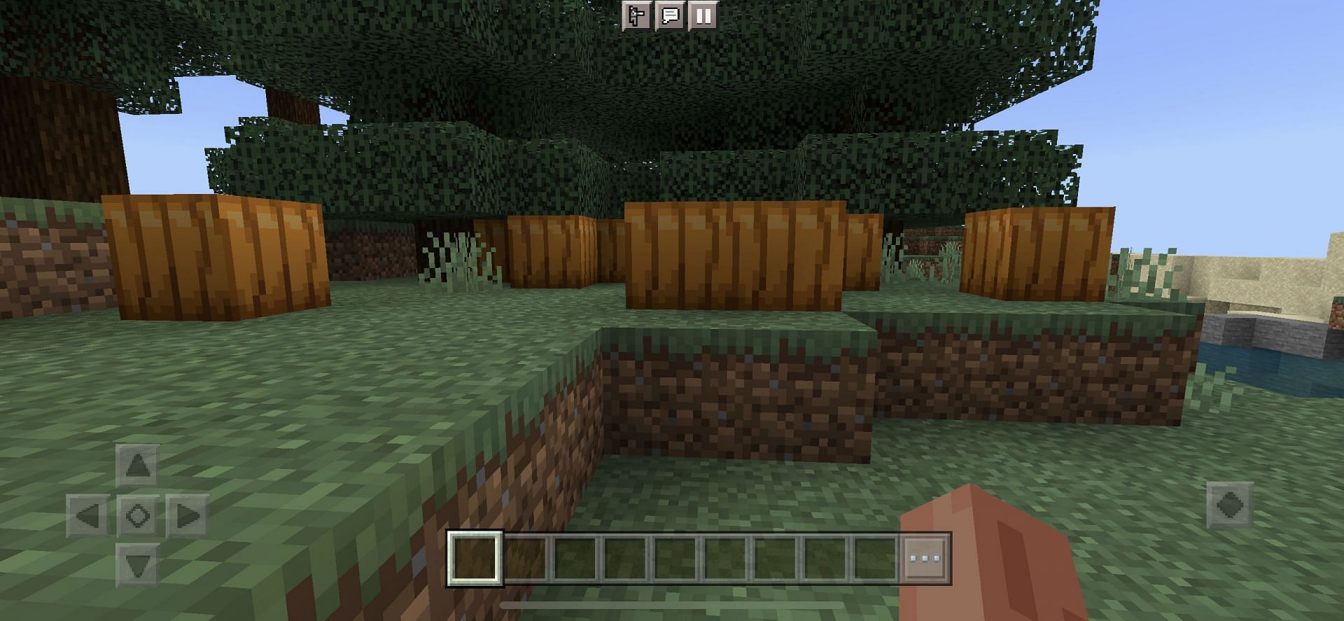 Players can spawn near some pumpkins and locate some nearby lush caves (Image via Minecraft)
