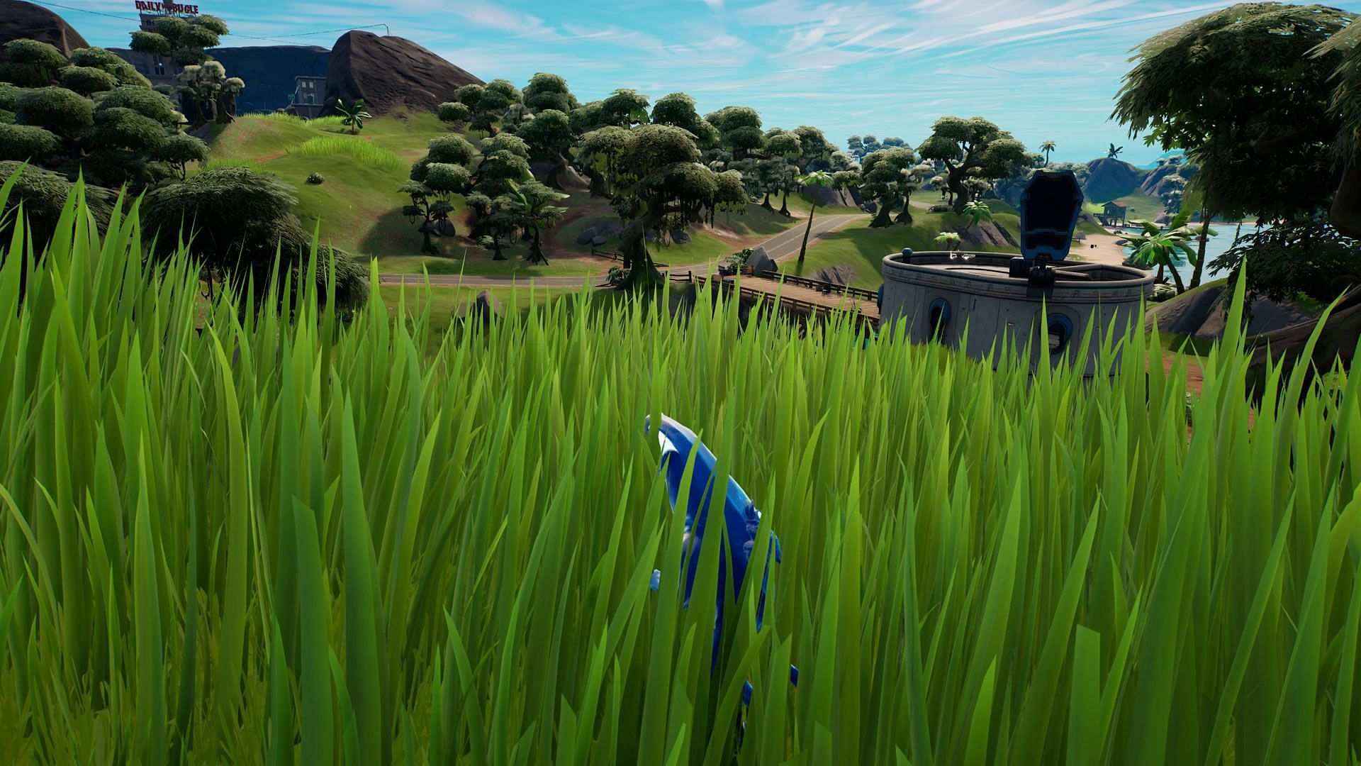 Fortnite grass (Image via Epic Games)