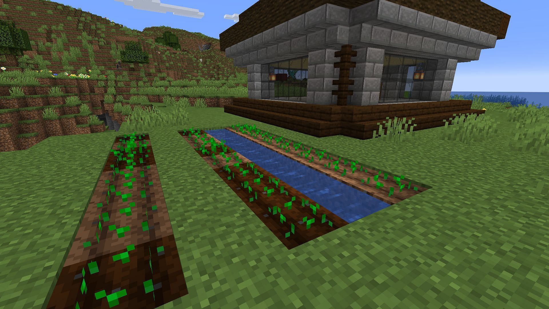 A wheat farm near a player&#039;s survival base (Image via Minecraft)