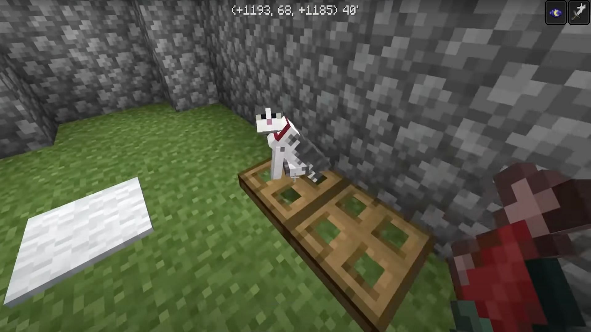 Players of Minecraft will need to put the cats on the trap doors in the back of each chamber (Image via Dusty Dude/YouTube)