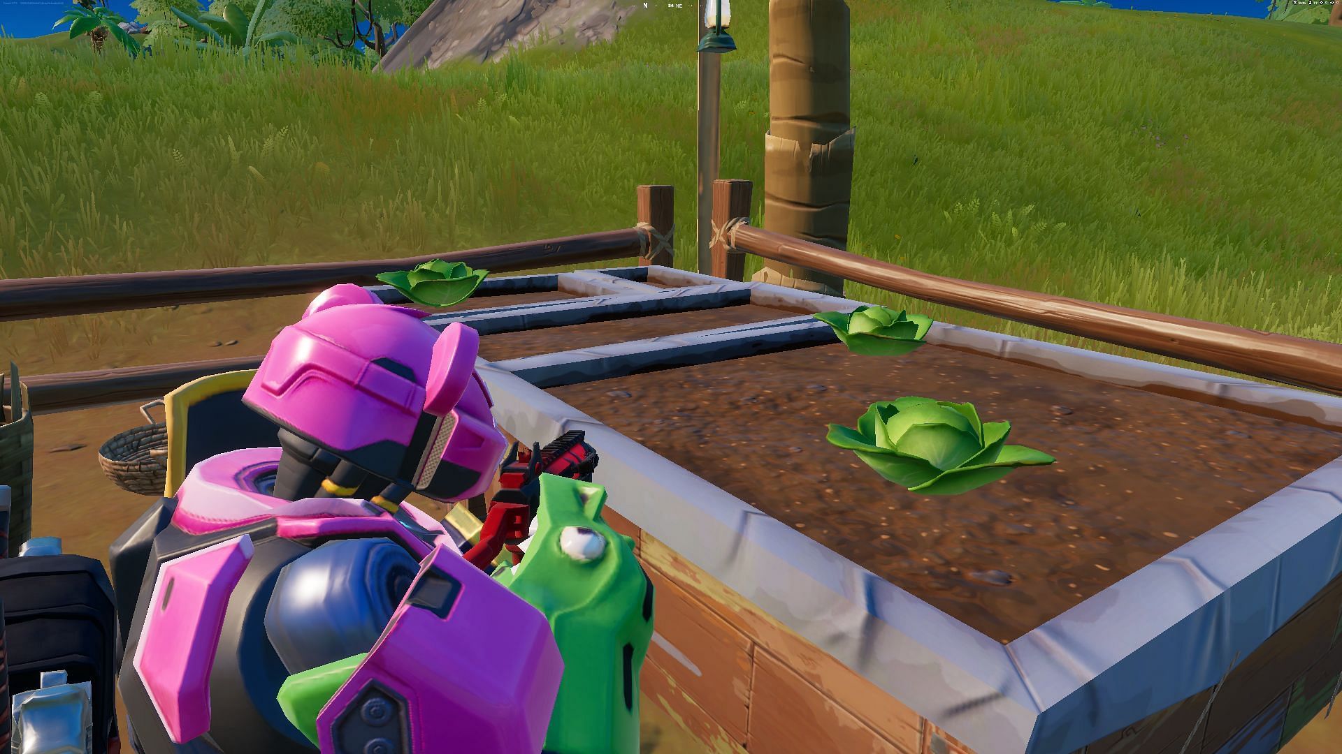 Let the cabbage hit the floor! (Image via Epic Games/Fortnite)