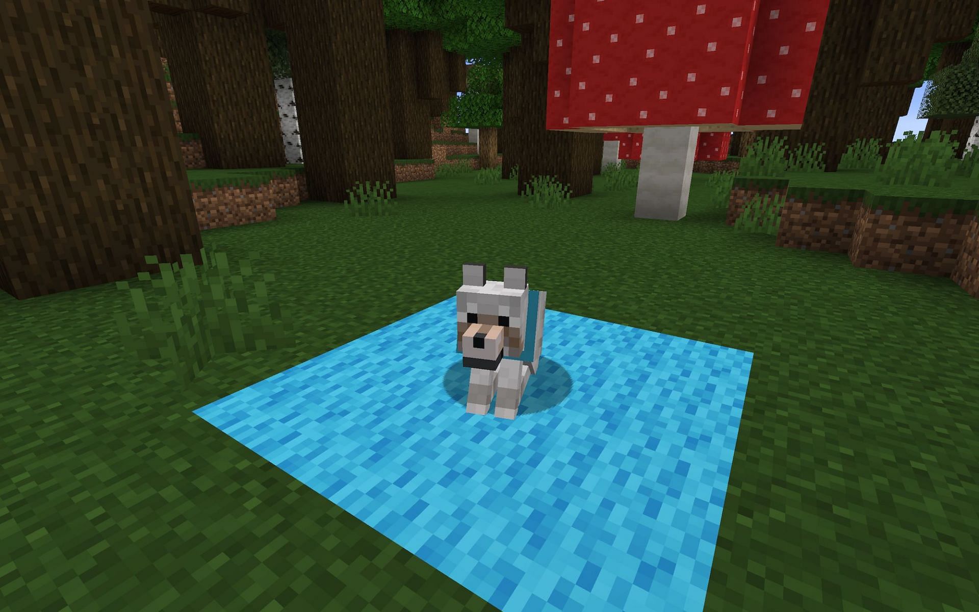 Wolf with a blue collar [Image via Minecraft]