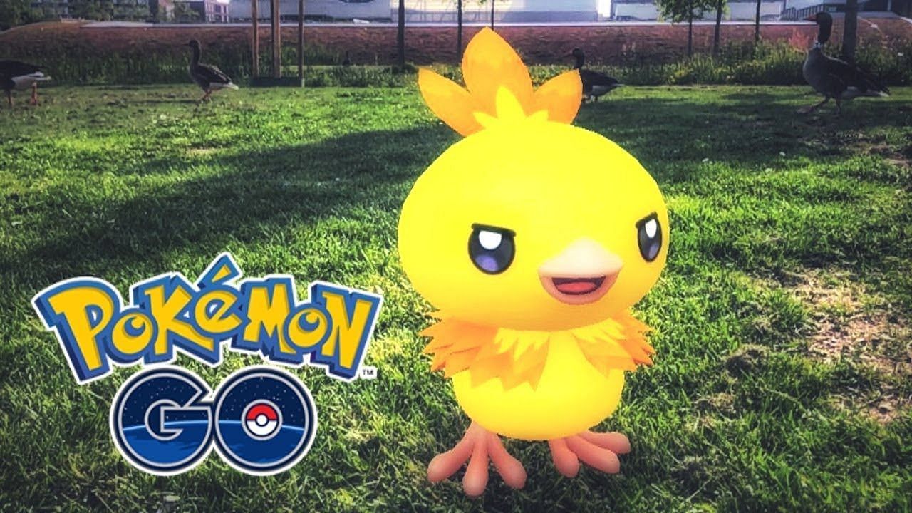 Shiny Torchic as it appears in Pokemon GO (Image via Niantic/REVERSAL on YouTube)