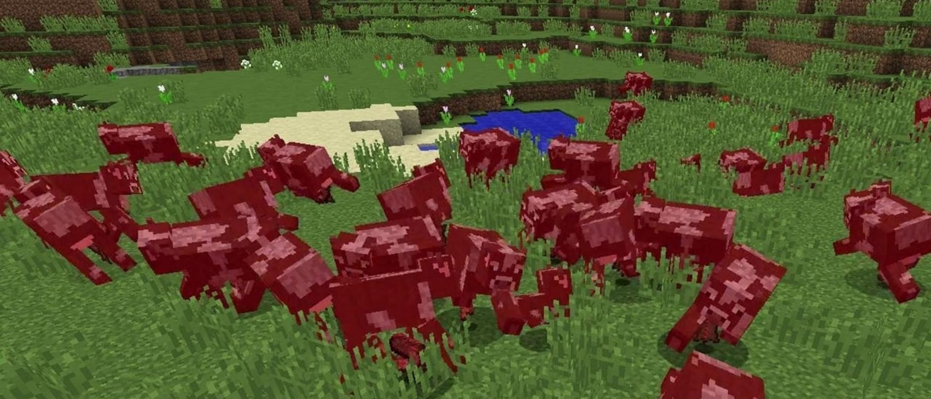 /Kill does exactly what one expects; it kills a given entity (Image via OMGCraft/Youtube)