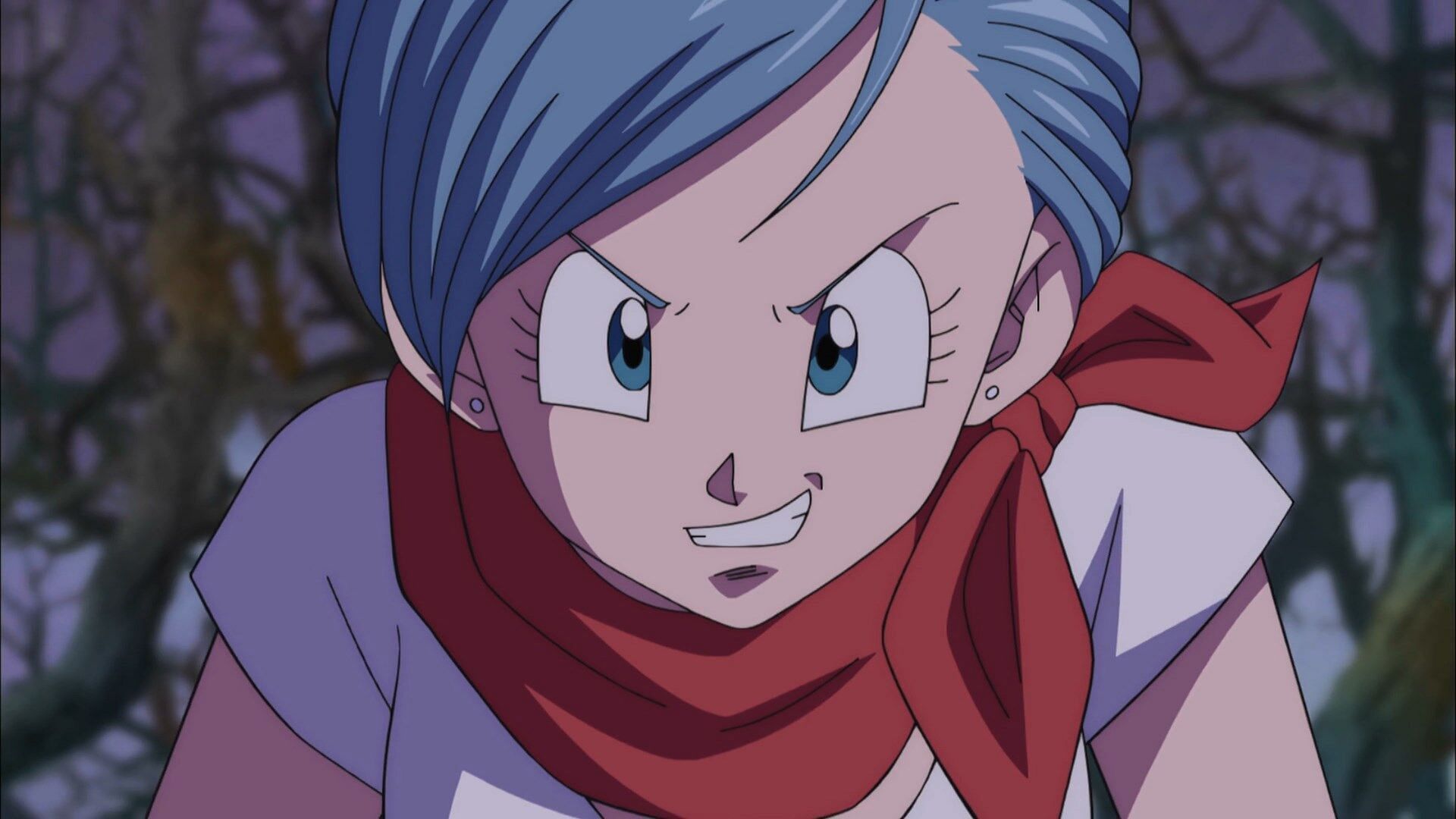 Bulma Briefs is one of the franchise