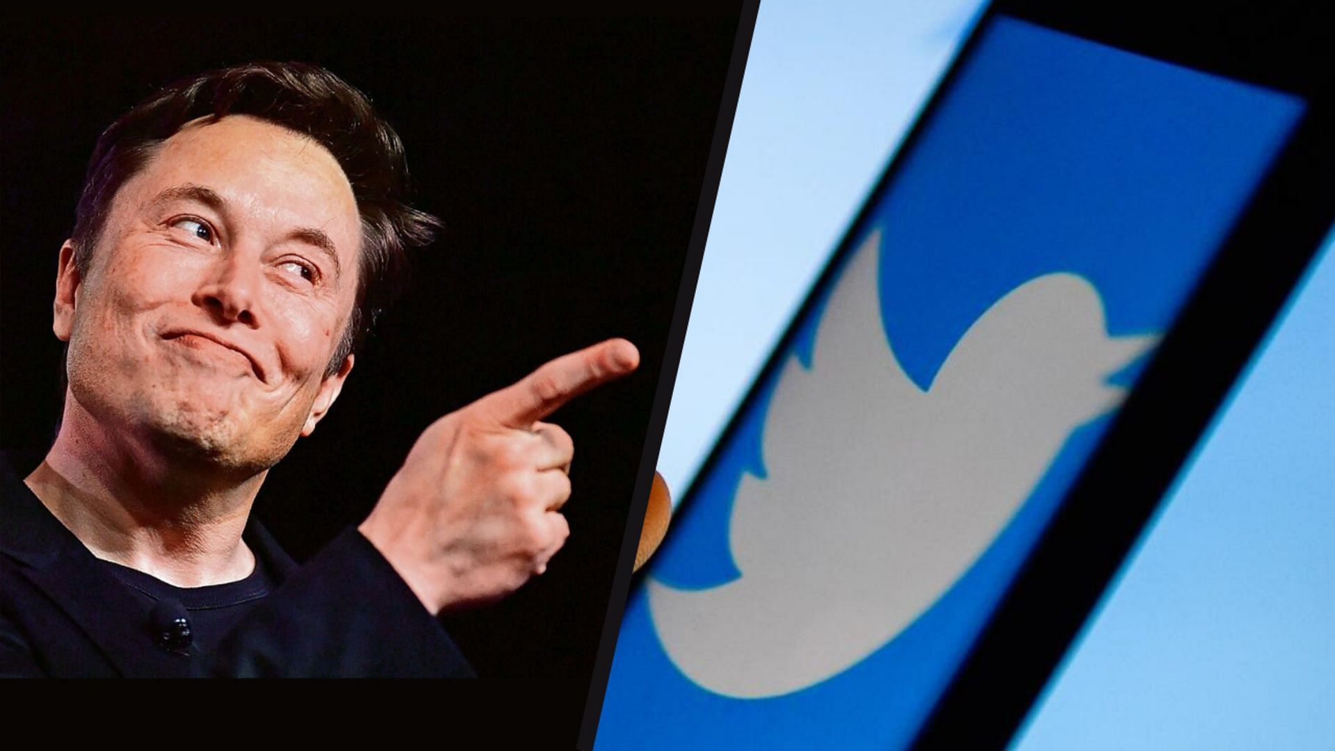 Musk acquires 9.2 percent stake in Twitter (Image via Frederic J. Brown/Getty Images, and Omar Marques/SOPA Images/LightRocket/Getty Images)