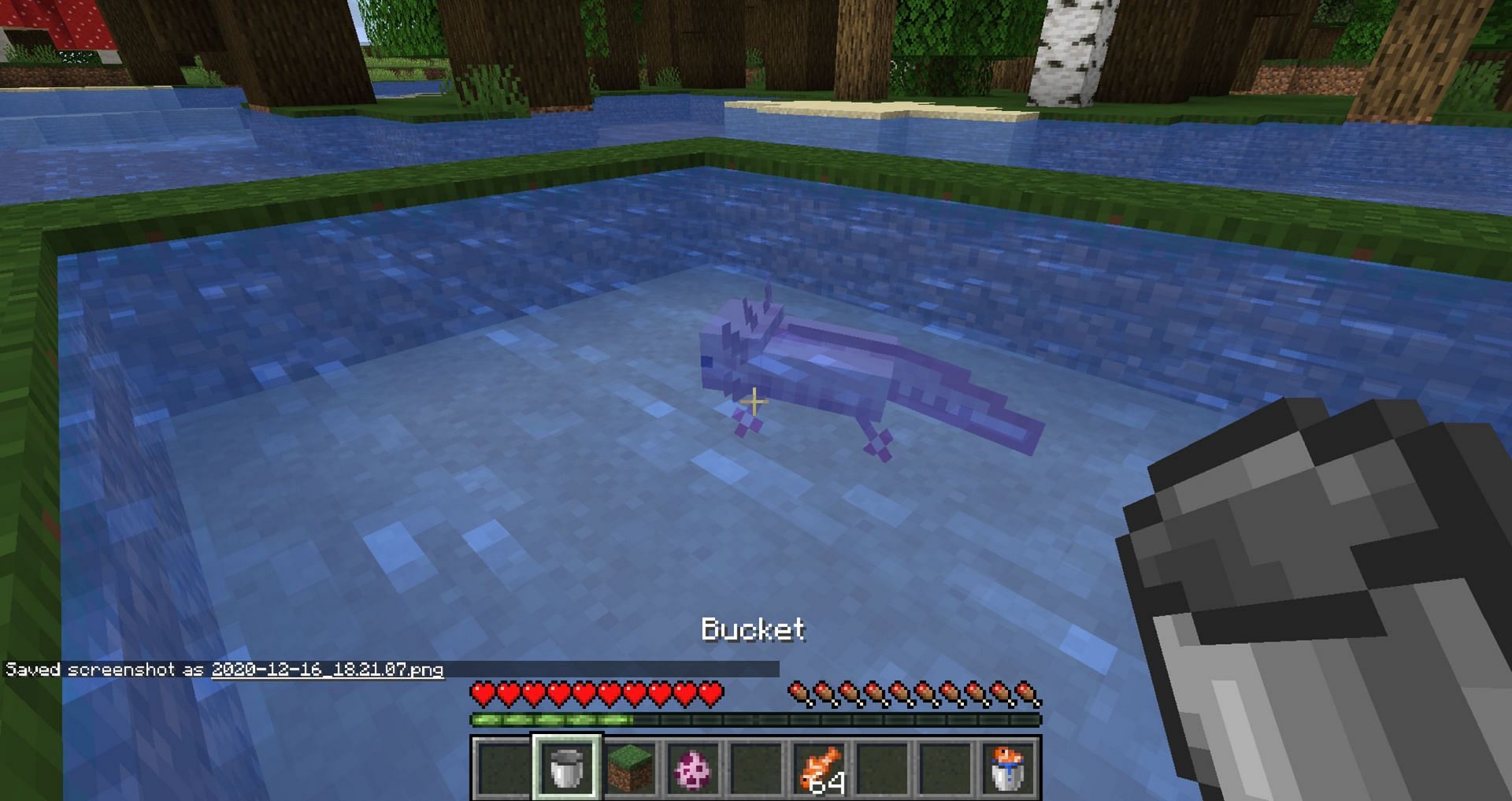 Axolotls and many other aquatic creatures can be transported via bucket (Image via Mojang)