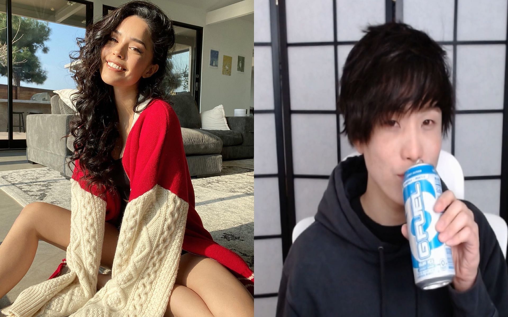 Valkyrae and Sykkuno leak their speculated voice acting project (Images via Valkyrae and Sykkuno/Twitter)