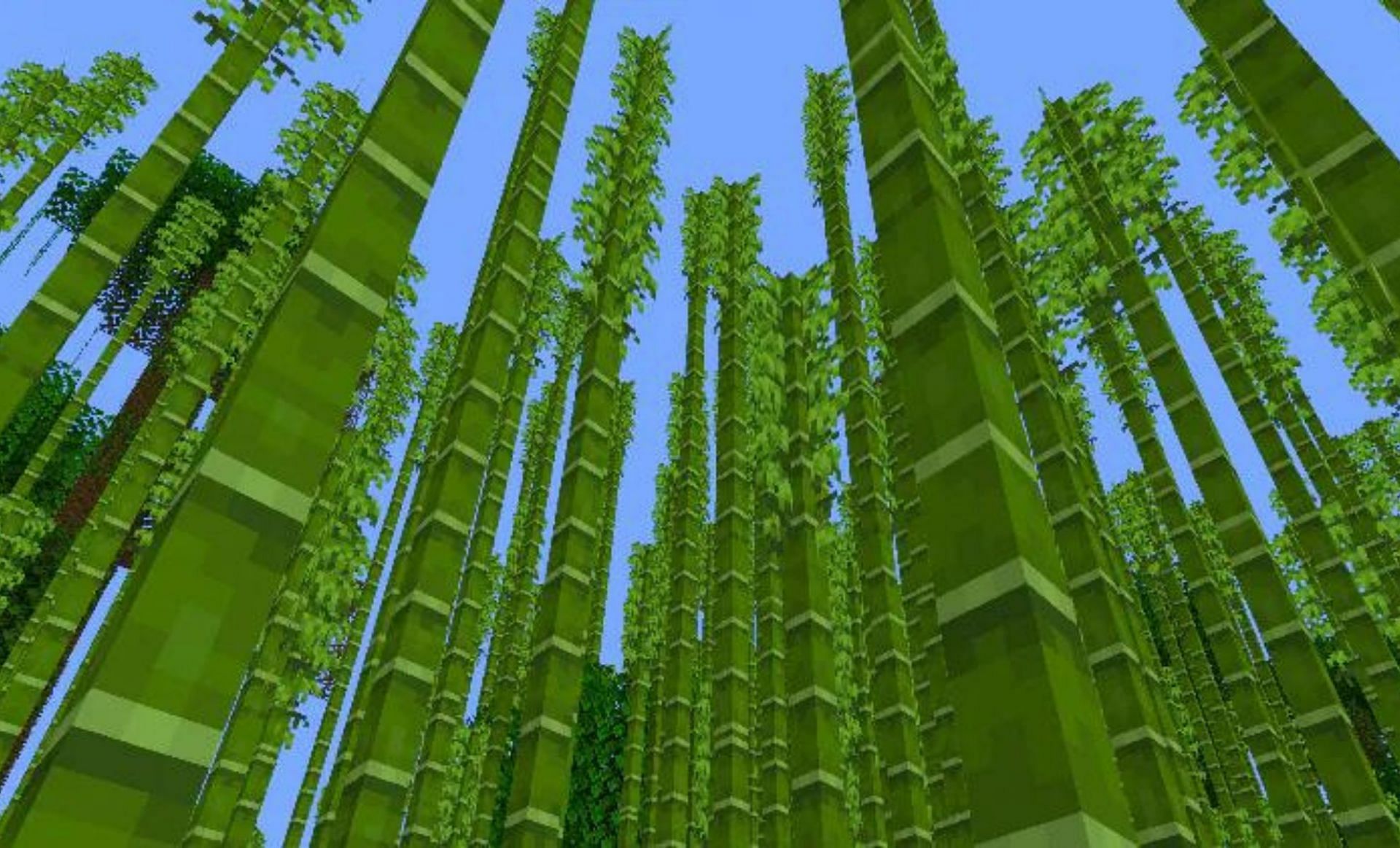 Top 5 uses of Bamboo in Minecraft 1.18 update