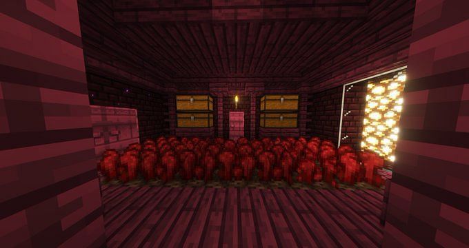 Different Growth Stages Of Nether Wart In Minecraft   03322 16528095733085 1920 