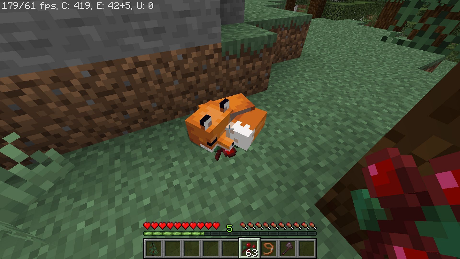 Foxes are commonly found in all kinds of taiga biomes in Minecraft (Image via Minecraft)