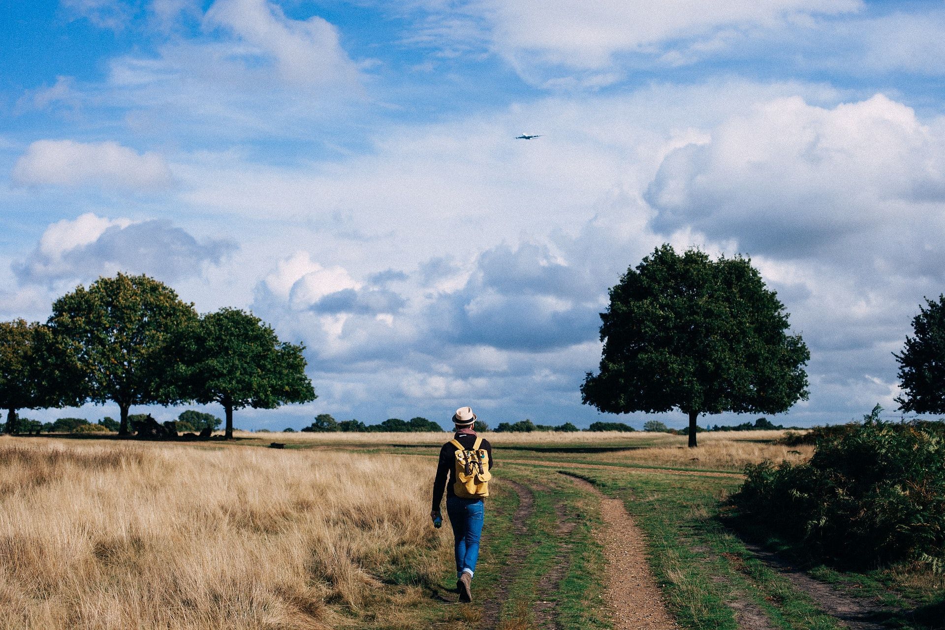 Understanding the  health benefits of walking (Image via Pexels/Photo by Clem Onojeghuo)